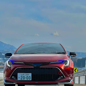 カローラスポーツ ZWE211H