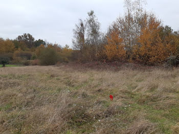 terrain à Baigneaux (33)