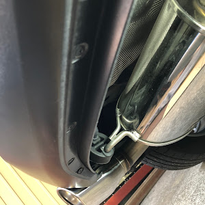 アクセラスポーツ BMEFS