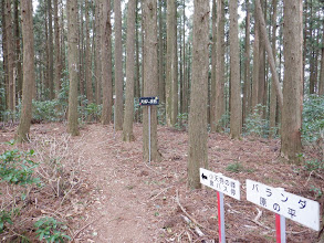 天狗の座敷に到着（左の三角点へ）