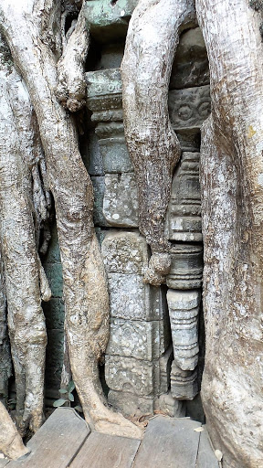 Tomb Raider Movie Temple (Ta Prohm) Cambodia 2016