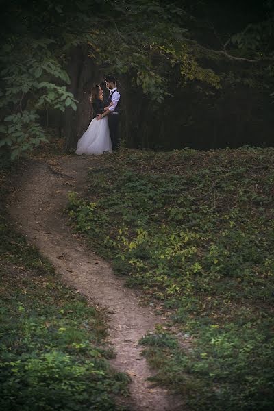 Svatební fotograf Guraliuc Claudiu (guraliucclaud). Fotografie z 4.prosince 2016