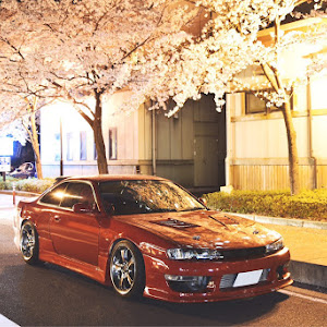 シルビア