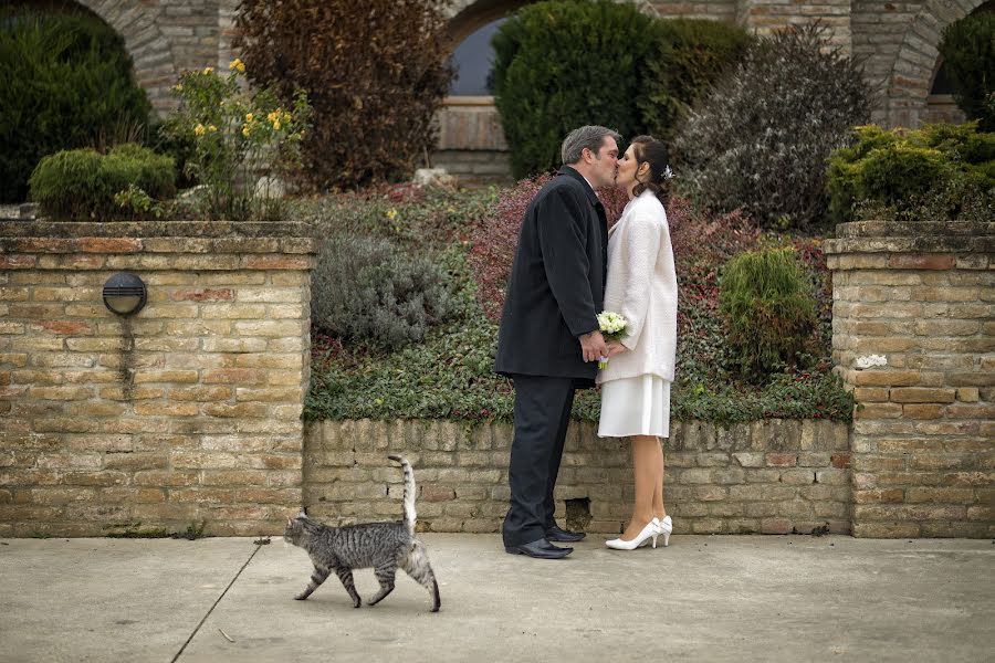 Photographe de mariage Martin Nádasi (nadasimartin). Photo du 31 juillet 2022