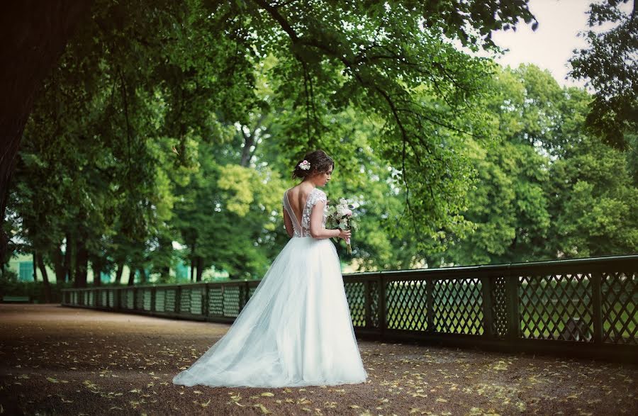 Fotógrafo de casamento Evgeniya Novickaya (klio24). Foto de 28 de outubro 2017