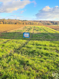 terrain à Torfou (91)