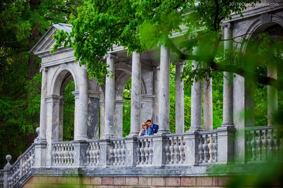 Fotógrafo de bodas Olga Zamelyuk (tigra). Foto del 12 de junio 2017