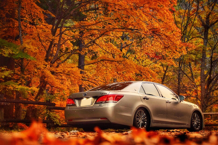 クラウンロイヤルの紅葉・紅葉と愛車・ドライブに関するカスタム事例の投稿画像1枚目