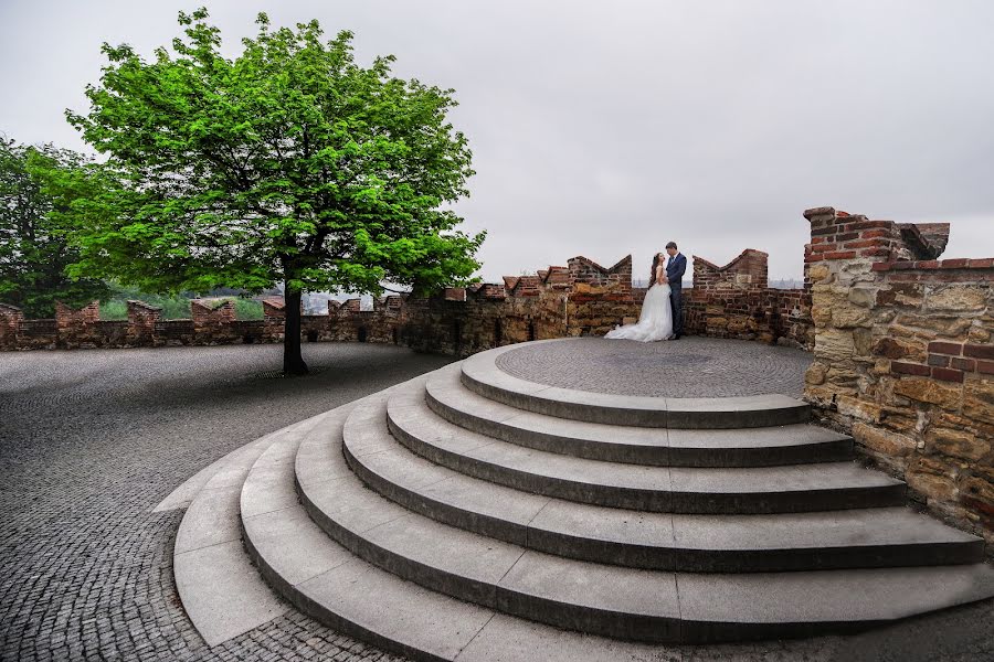 Fotografo di matrimoni Dmytro Sobokar (sobokar). Foto del 4 agosto 2017