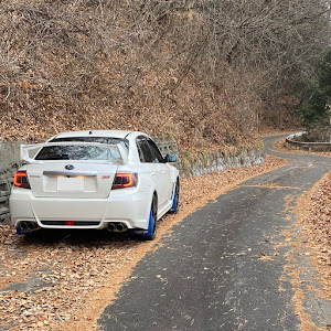 インプレッサ WRX STI GVF