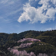 數碼天空景觀餐廳