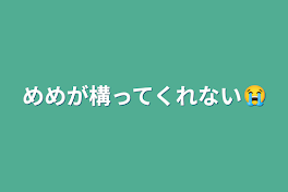 めめが構ってくれない😭