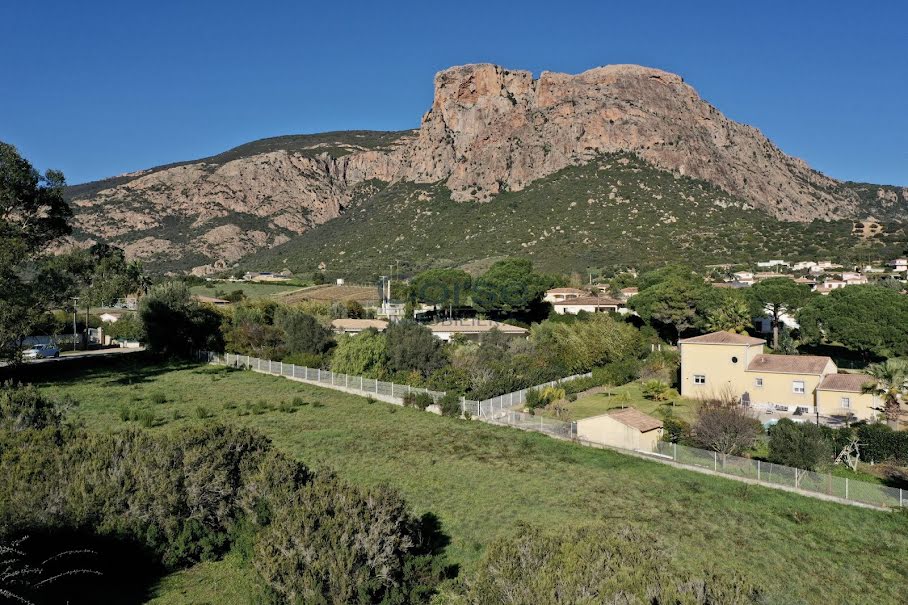 Vente terrain à batir  984 m² à Afa (20167), 230 000 €