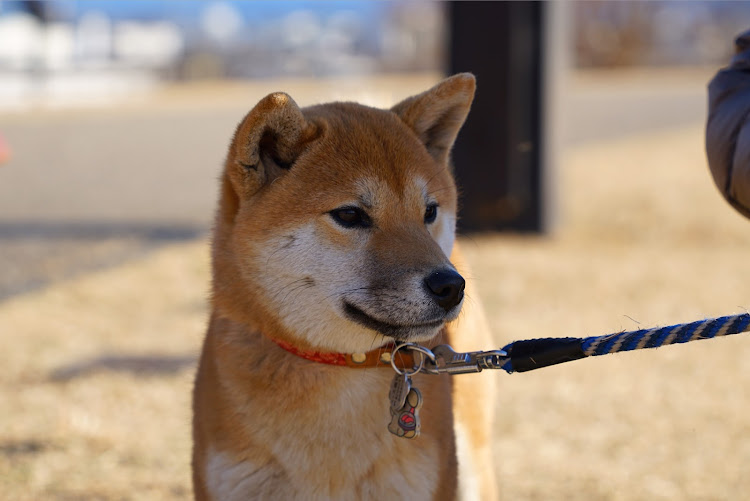 の投稿画像9枚目