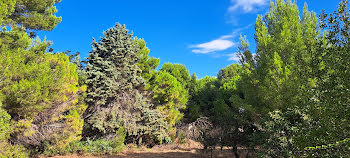 terrain à Fleury d'aude (11)