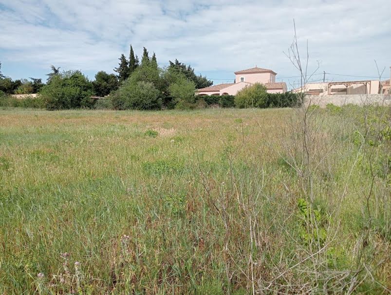 Vente terrain  630 m² à Paraza (11200), 87 000 €