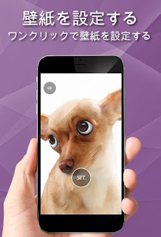 かわいい動物の壁紙 Androidアプリ Applion