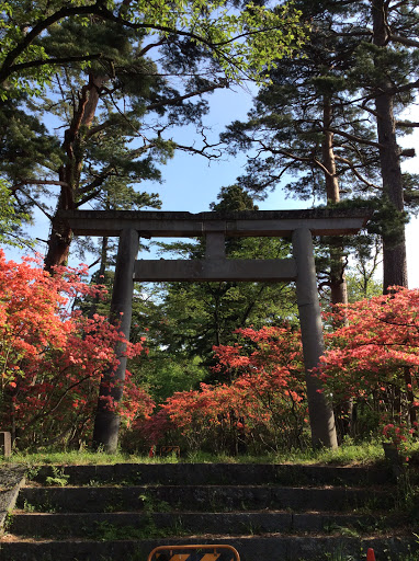 Torii