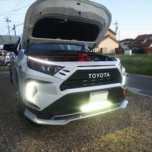 RAV4 MXAA54