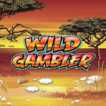 Cover Image of Tải xuống WILD GAMBLER(FREE SLOT MACHINE SIMULATOR) 1.0.0 APK