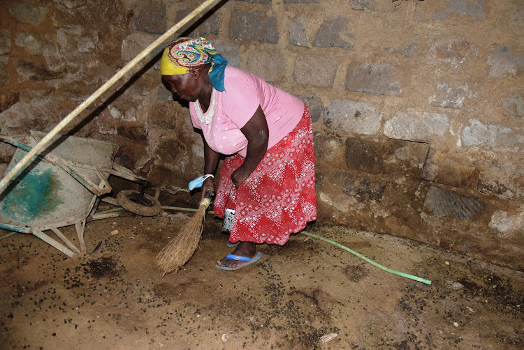 Githima resident Hannah Wacheke, 80, sweeps the pen that used to house her 16 sheep. They were stolen two weeks ago