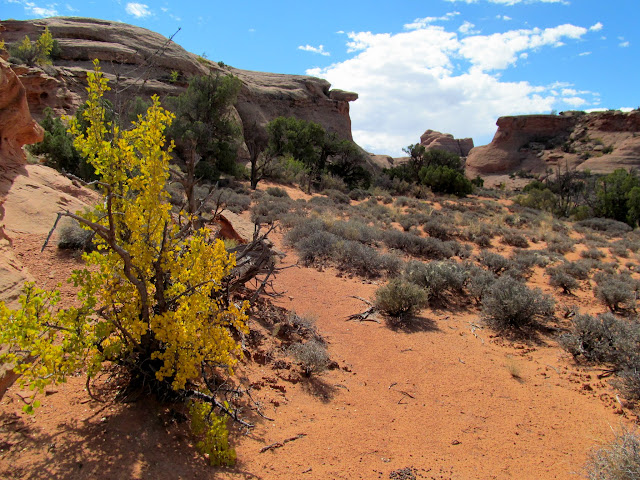 A small valley on the plateau