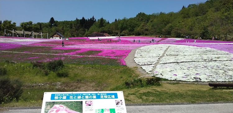 の投稿画像2枚目