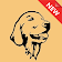 Golden Retriever Wallpapers icon