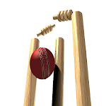 Cover Image of ดาวน์โหลด Live Cricket Score - Live Cricket 1.3 APK