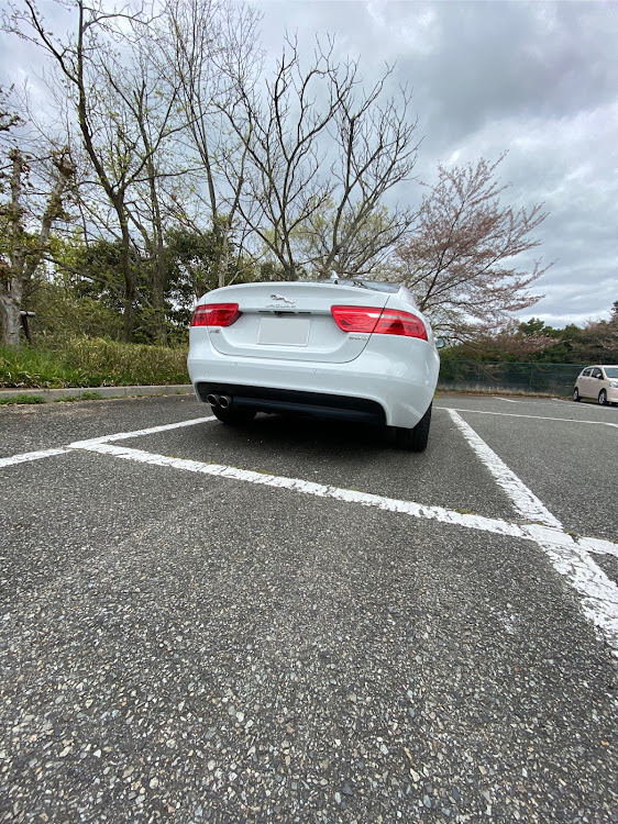 XEの洗車した！に関するカスタム事例の投稿画像2枚目