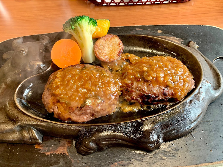 シビックタイプRのカメ活・新幹線と富士山のコラボ・美味しいハンバーグに関するカスタム事例の投稿画像9枚目