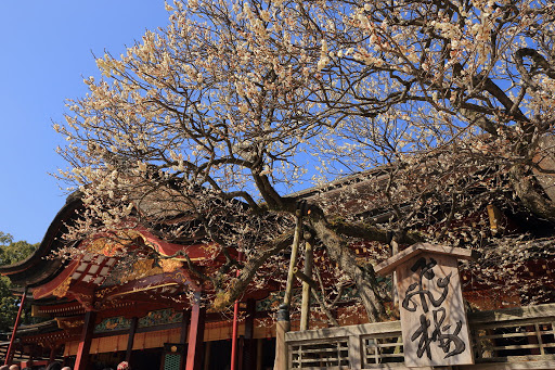 太宰府天満宮 本殿