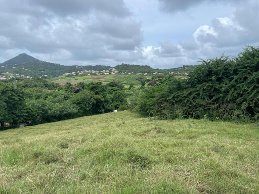 Land 2