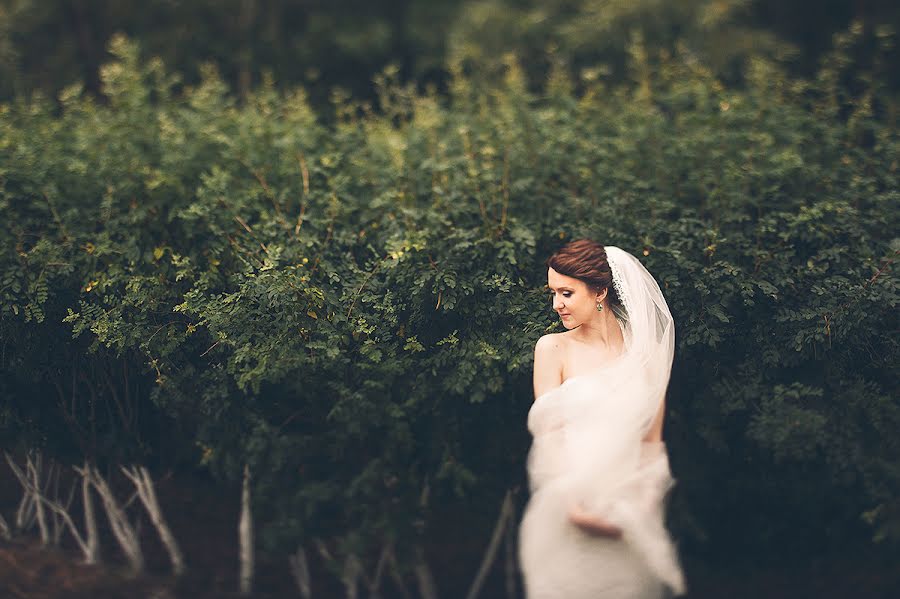 Wedding photographer Aleksandr Ugarov (ugarov). Photo of 12 December 2013