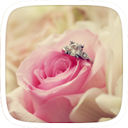 Pink Rose Love Theme  Icon