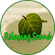 Download Relaxing Sounds For Sleeping Free For PC Windows and Mac 1.0