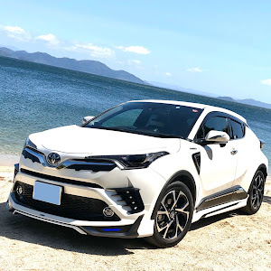 C-HR ZYX10