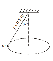 Free-Body Diagrams - FBD