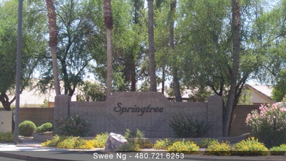 Springtree Gilbert AZ 85295 Homes for Sale