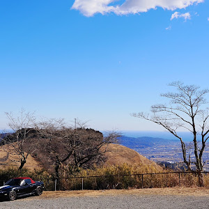 ロードスター NB8C