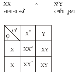 Solution Image