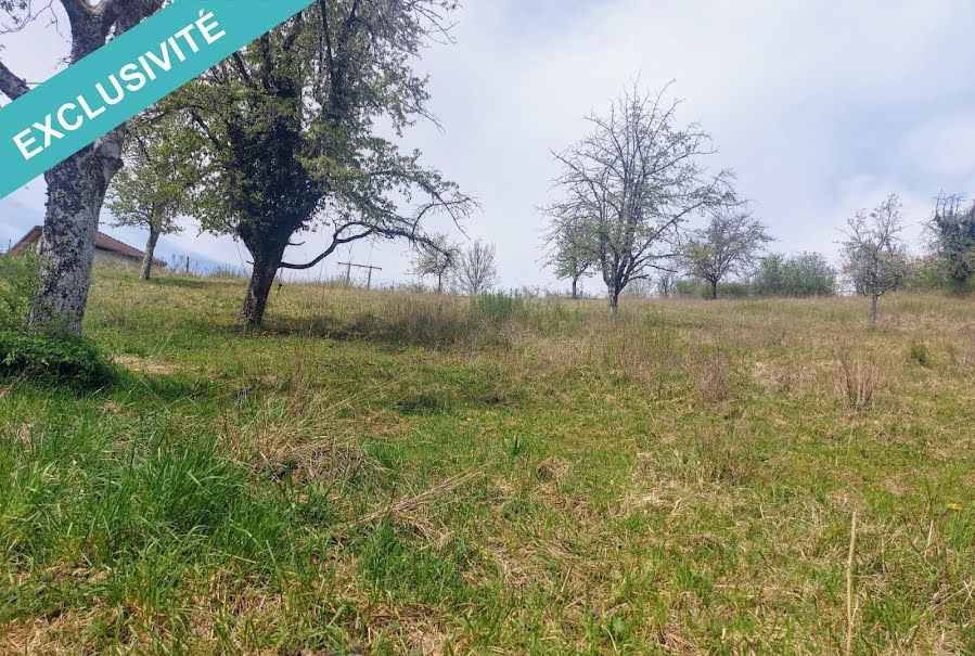 Vente terrain  3600 m² à Montgesoye (25111), 83 000 €