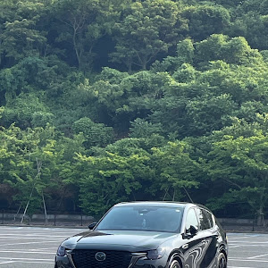 CX-60