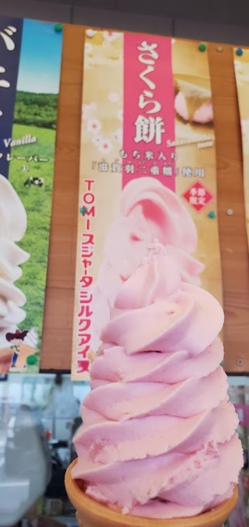 シビックタイプRのツーリング・インプレッサGRB STI・奥びわ湖パークウェイ・ミラジーノの皮をかぶったコペン・桜と愛車に関するカスタム事例の投稿画像6枚目