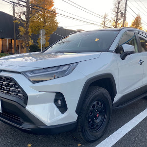 RAV4 AXAH54