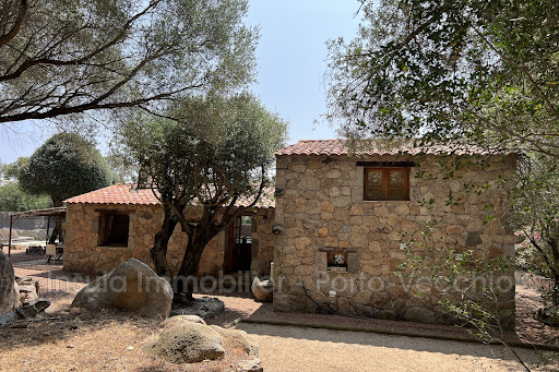 House with pool 1