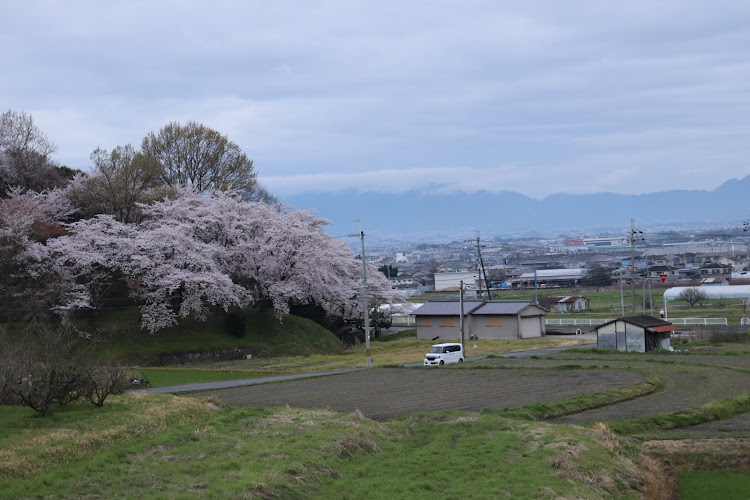 の投稿画像14枚目