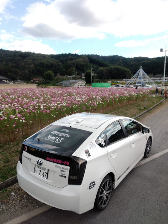 プリウスのピックアップチャレンジ・みんなのGスポット・カーチューン・50プリウスに関するカスタム事例の投稿画像4枚目