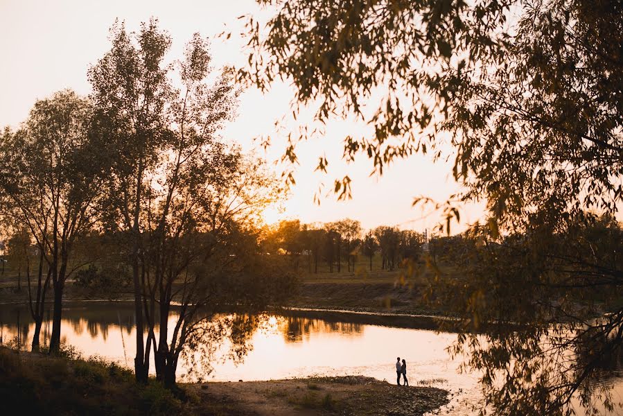 Wedding photographer Yuliya Stepanenko (kasandra). Photo of 18 October 2014