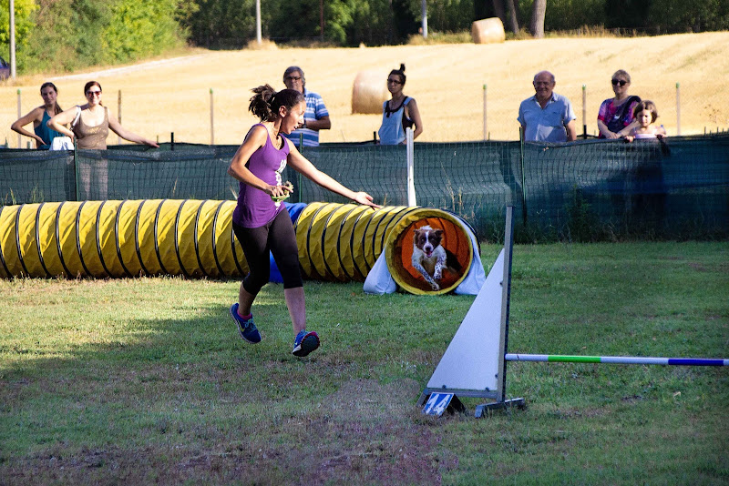 Agility dog di Erre-Gi